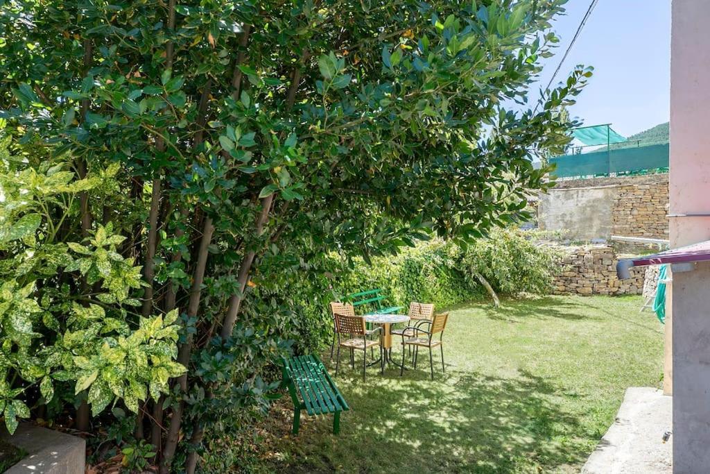 Casa Feli - Apartamento Con Jardin Privado En Los Pirineos Кастьєльйо-де-Хака Екстер'єр фото
