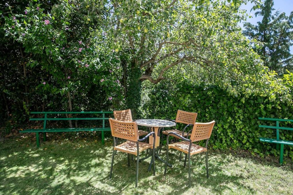 Casa Feli - Apartamento Con Jardin Privado En Los Pirineos Кастьєльйо-де-Хака Екстер'єр фото