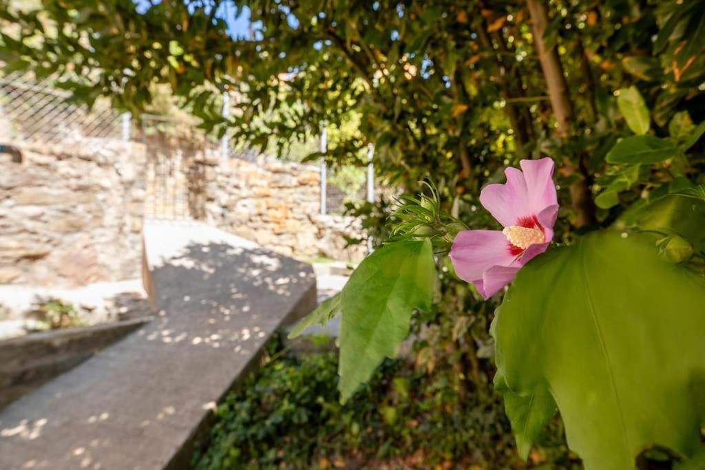 Casa Feli - Apartamento Con Jardin Privado En Los Pirineos Кастьєльйо-де-Хака Екстер'єр фото